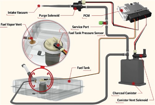 Ford EVAP layout