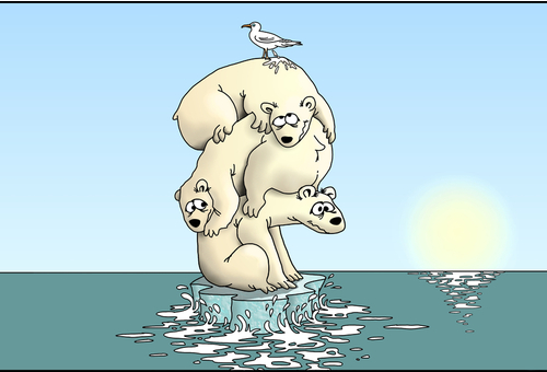 Polar bears in trouble