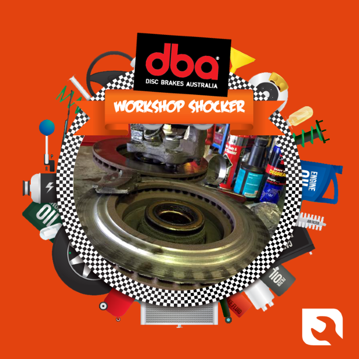 dba_schocker