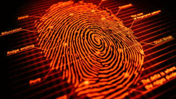fingerprint